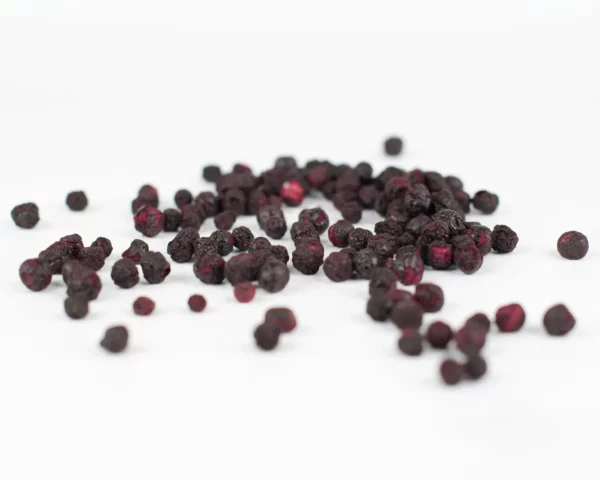 Vilgain Liofilizált áfonya 100g - Image 2
