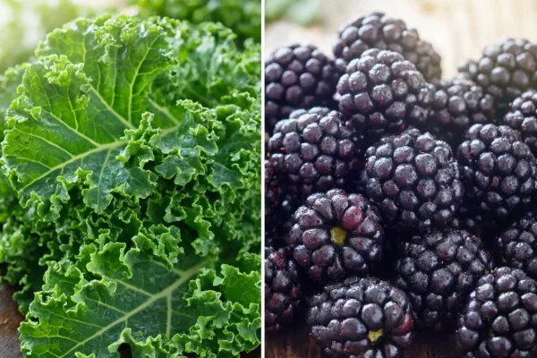 Látásjavítás természetesen: Kelkáposzta és szeder a vizuális élesség megőrzéséért